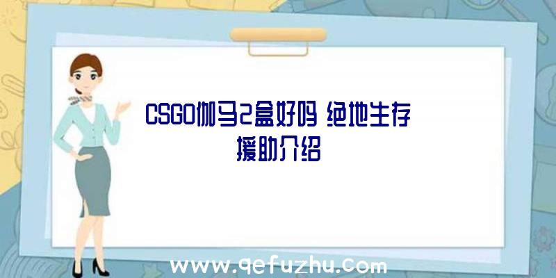 CSGO伽马2盒好吗